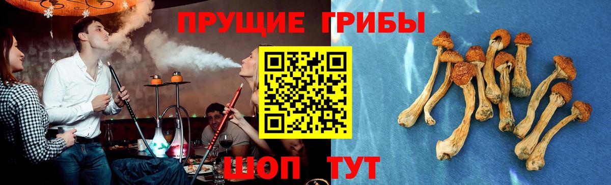 Псилоцибиновые грибы мухоморы  купить наркотик  Галлюциногенные грибы мицелий  Апрелевка 